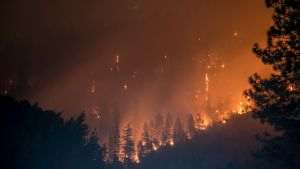 Reuters: Trump i-a transmis premierului Canadei că trebuie să ţină sub control incendiile de vegetaţie